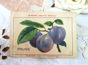 フランスアンティークBlecaoプルーンのトレードカード