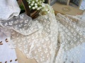 フランス刺繍入りチュールレースハギレA