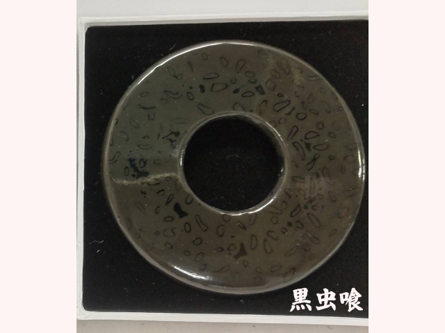 本漆塗革鍔 黒虫喰