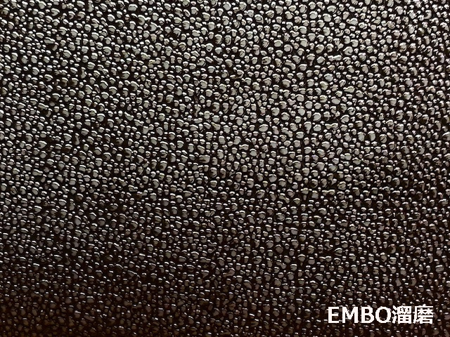 EMBO2本足胴