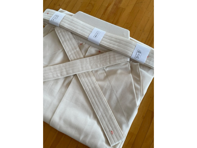 フジダルマ 79A生師範用袴