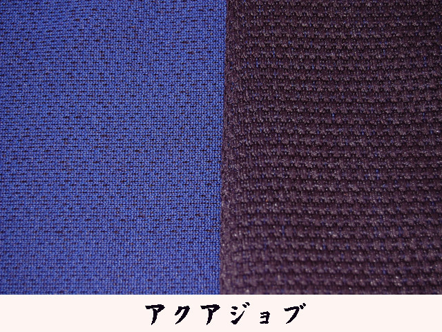 青達磨 アクアジョブ