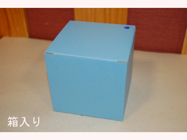 フジダルマ KENDOマグカップ