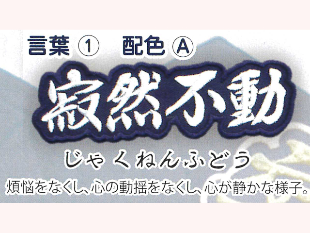 BUSEN ワッペン