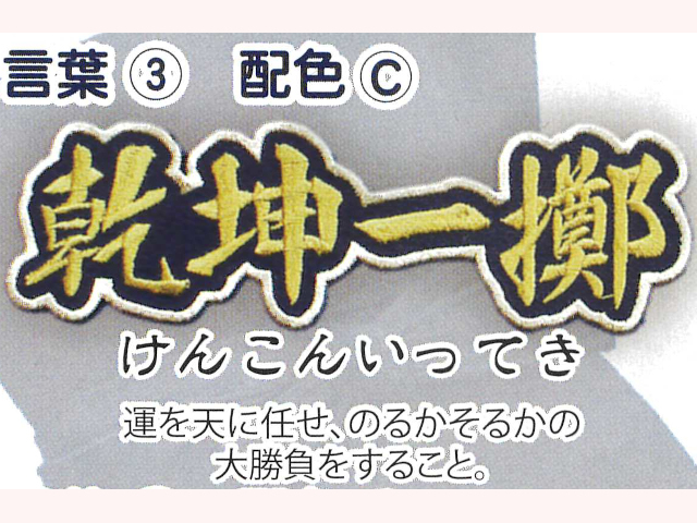 BUSEN ワッペン