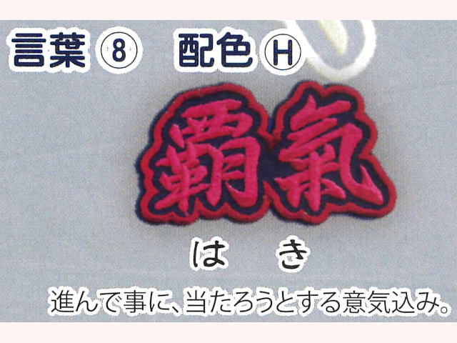 ≪アイロン接着≫刺しゅうワッペン 剣道具 晨風堂 -しんぷうどう-