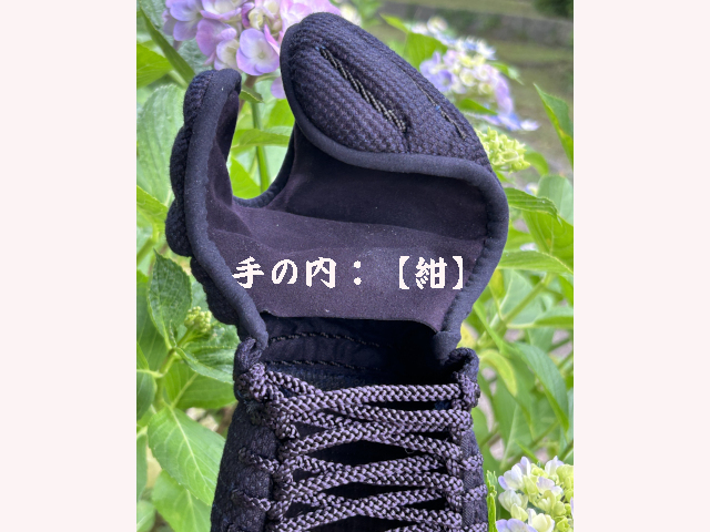 かたつむり(2)