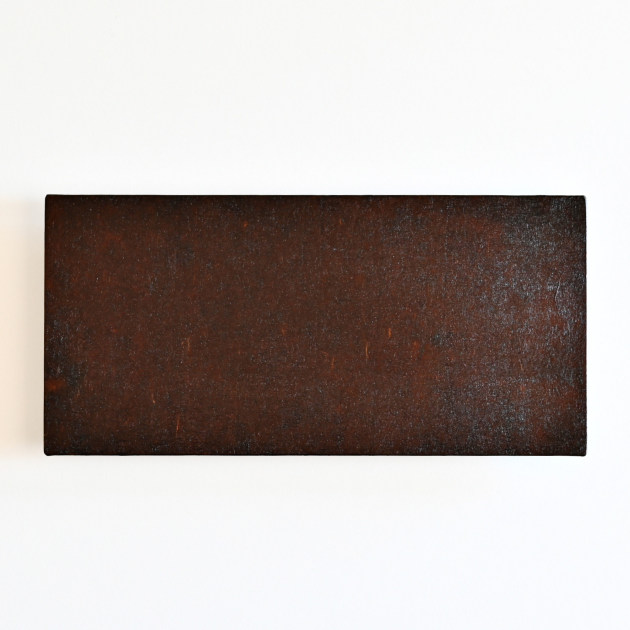 蝶野秀紀　トレー（茶・中長・和紙貼）12cm×25cm