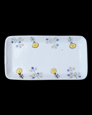 清水なお子　色絵鉄草花文長皿