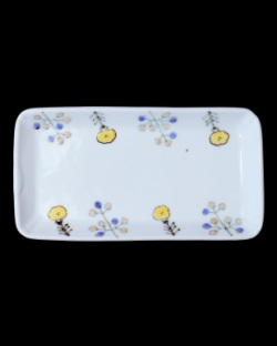 清水なお子　色絵鉄草花文長皿