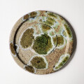 大原光一　皿(24cm)G