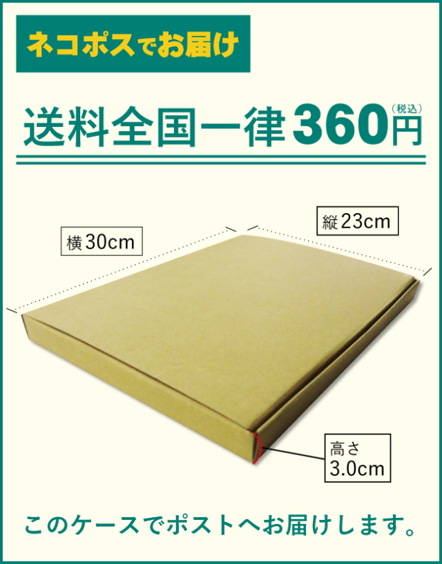 ネコポスサイズ画像　