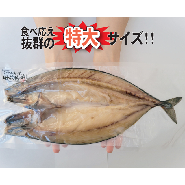 H-70さば一夜干（開き）1枚
