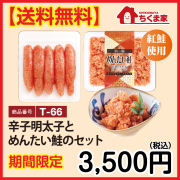 T-66 【送料無料】辛子明太子とめんたい鮭のセット