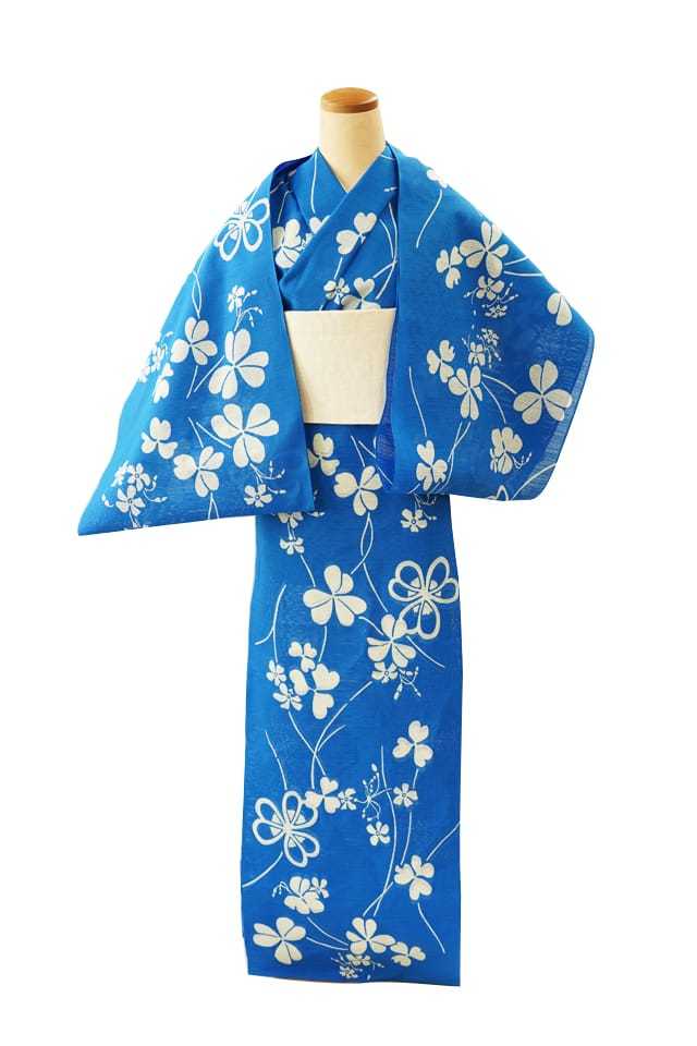 綿絽地染