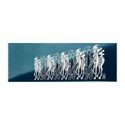 竺仙オンラインストア：浴衣（ゆかた）：着物：帯