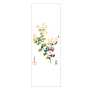 野菊