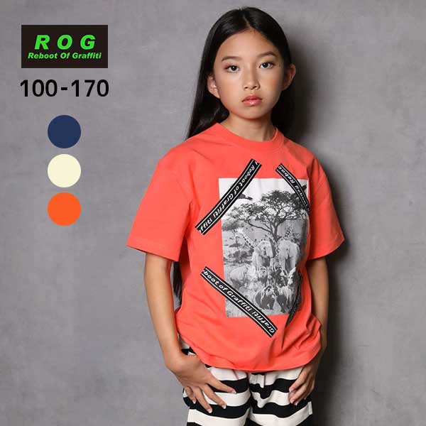 【20％OFFSALE】R.O.G(アールオージー)アニマルフォトプリント半袖ビックＴシャツ【メール便可能】