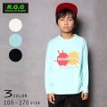 R.O.G(アールオージー)RebootCrewビックロングＴシャツ【メール便送料無料】