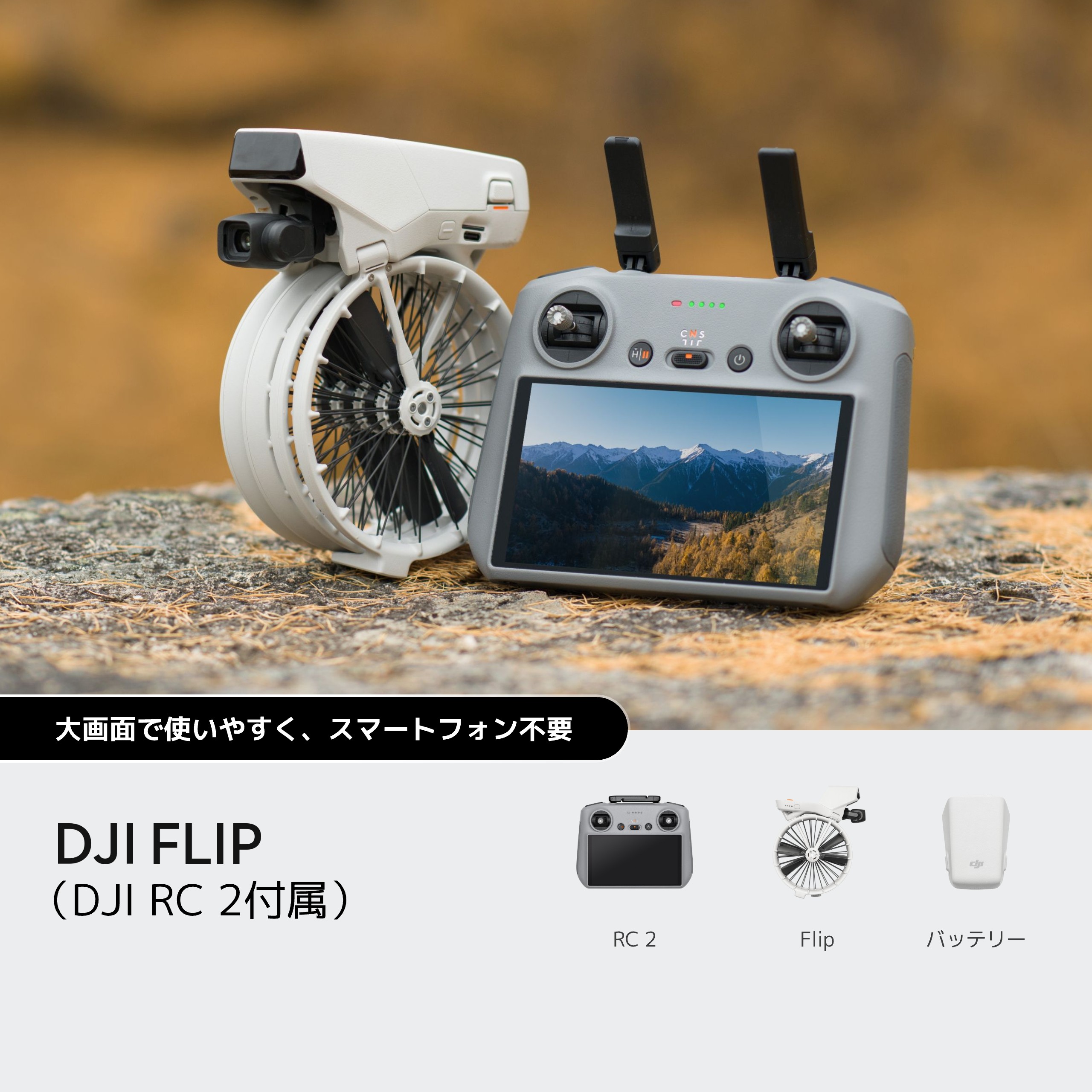 DJI Flip（DJI RC 2付属）