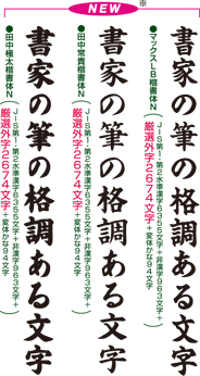FT210N　田中極太楷書体　　※ご使用にはSF-700基本ソフトが必要です