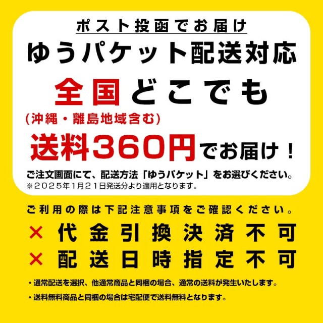 公式ピンバッジ 2017年製 ピンバッチ「鉱物・天文・月光・飛行倶楽部」/Radiostar
