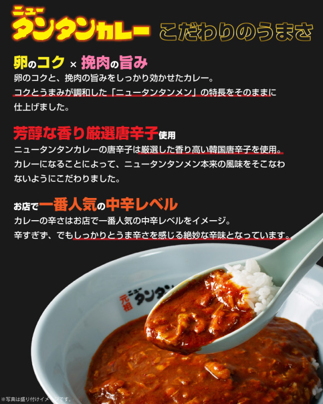 ニュータンタンカレー