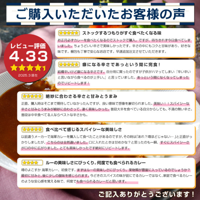 横須賀ご当地カレー よこすか海軍カレーネイビーブルーお試し2食