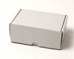 【新品】SANEI モバイルプリンター SM1-21BT　メイン画像