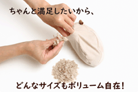 リプロバランスパッド大きいサイズBN