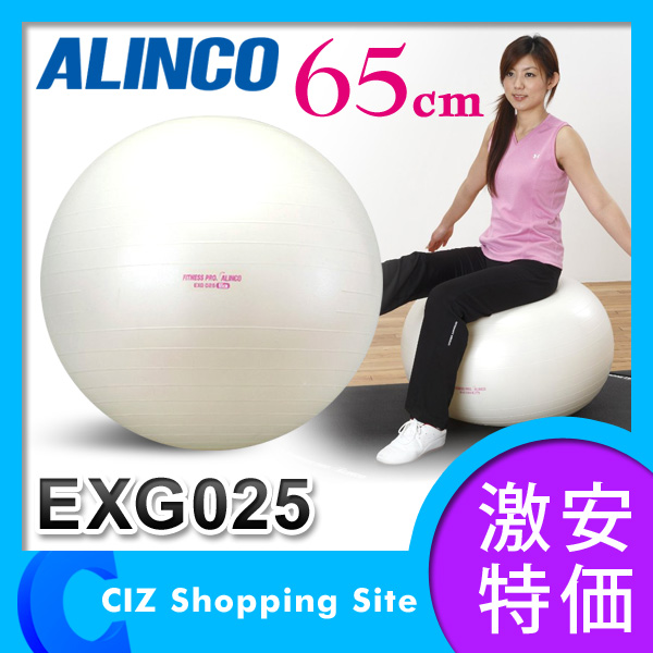 アルインコ（ALINCO） エクササイズボール 65cm フィットネス器具 EXG025