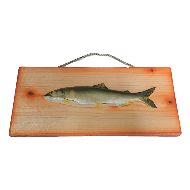 日本製手作りフィギュア壁掛け アユ「職人の技」