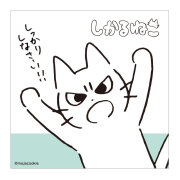 やわらかタオル「しかるねこ」