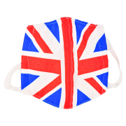 日本製 立体マスク 国旗