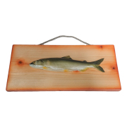 日本製手作りフィギュア壁掛け アユ「職人の技」