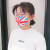 日本製 立体マスク 国旗
