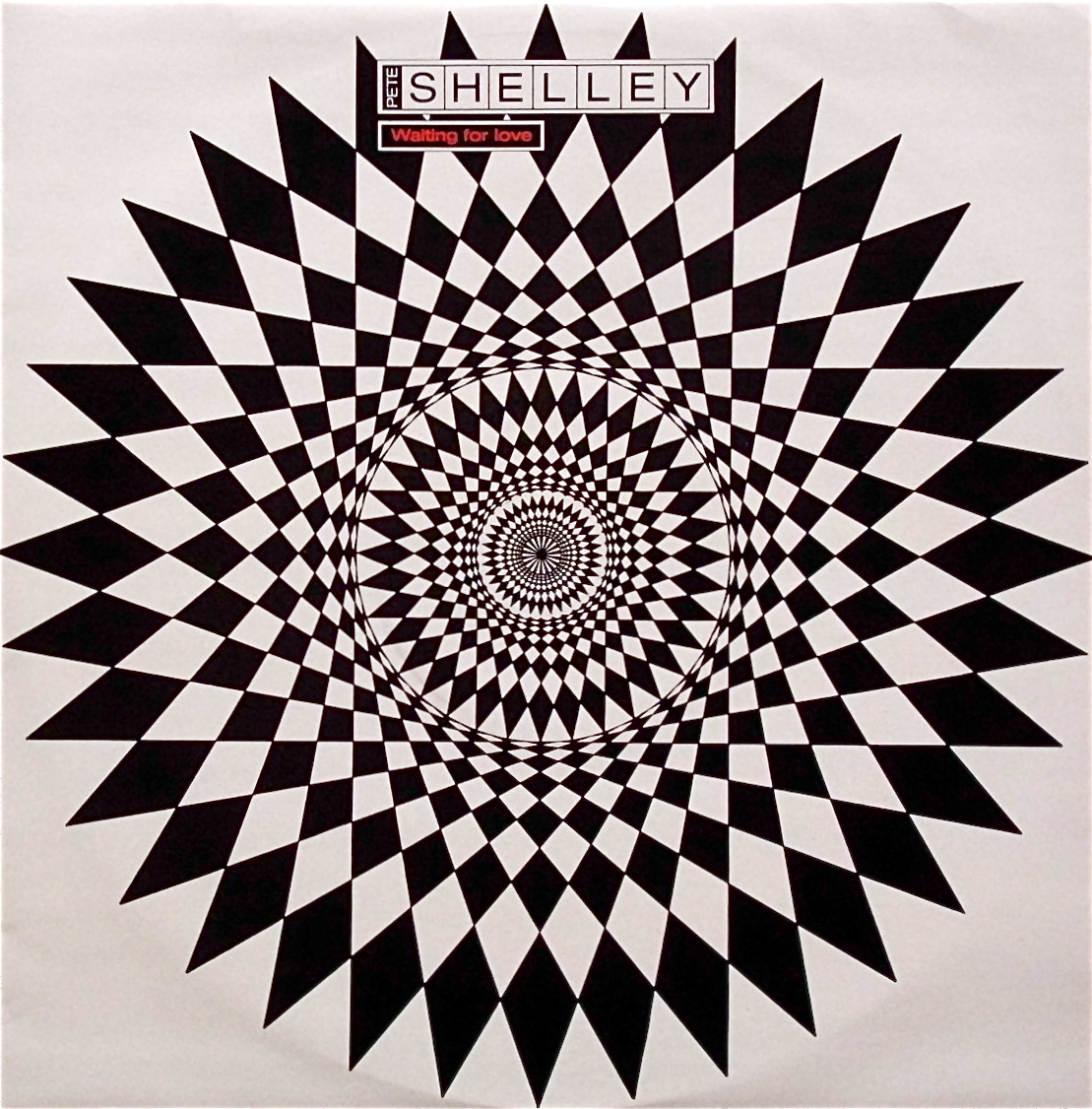 PETE SHELLEY / Waiting For Love