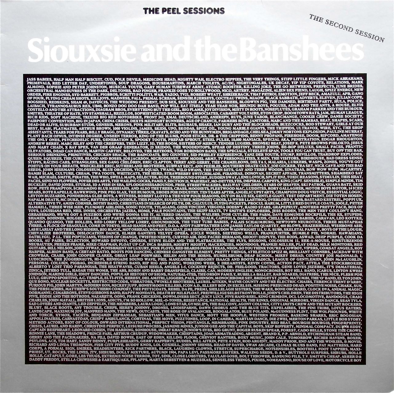 SIOUXSIE & THE BANSHEES / The Peel Sessions (The Second Session)
