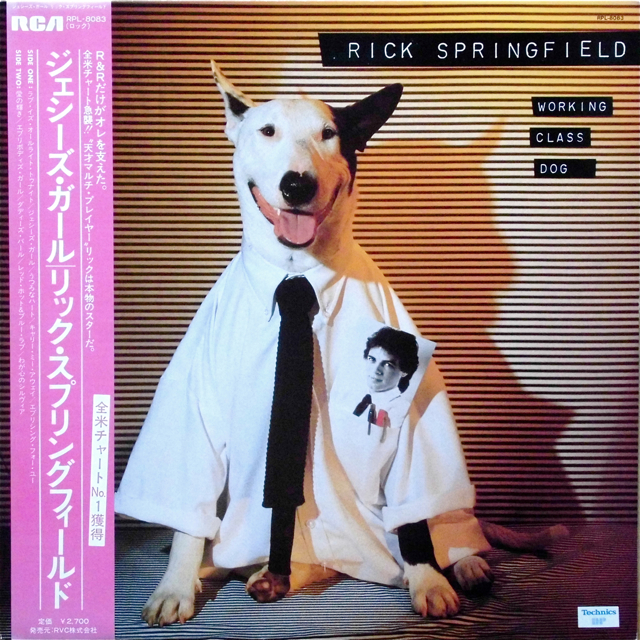RICK SPRINGFIELD / Working Class Dog