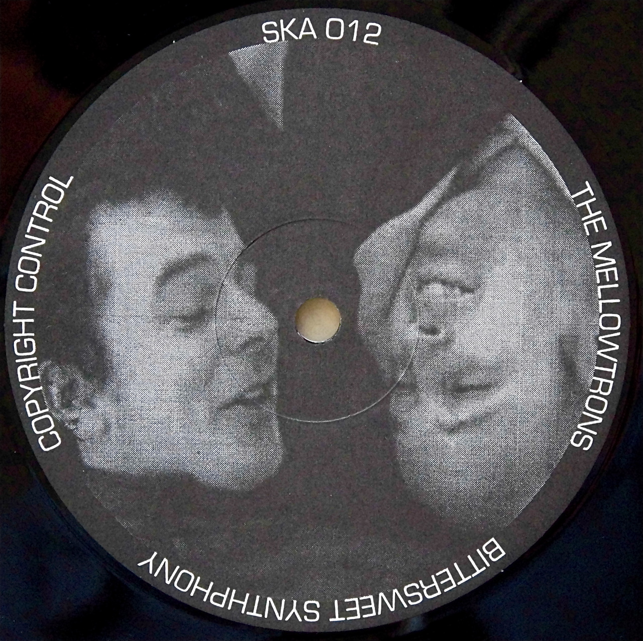 THE MELLOWTRONS ・ MEAT BEAT MANIFESTO / The Mellowtrons ・ Meat Beat Manifesto