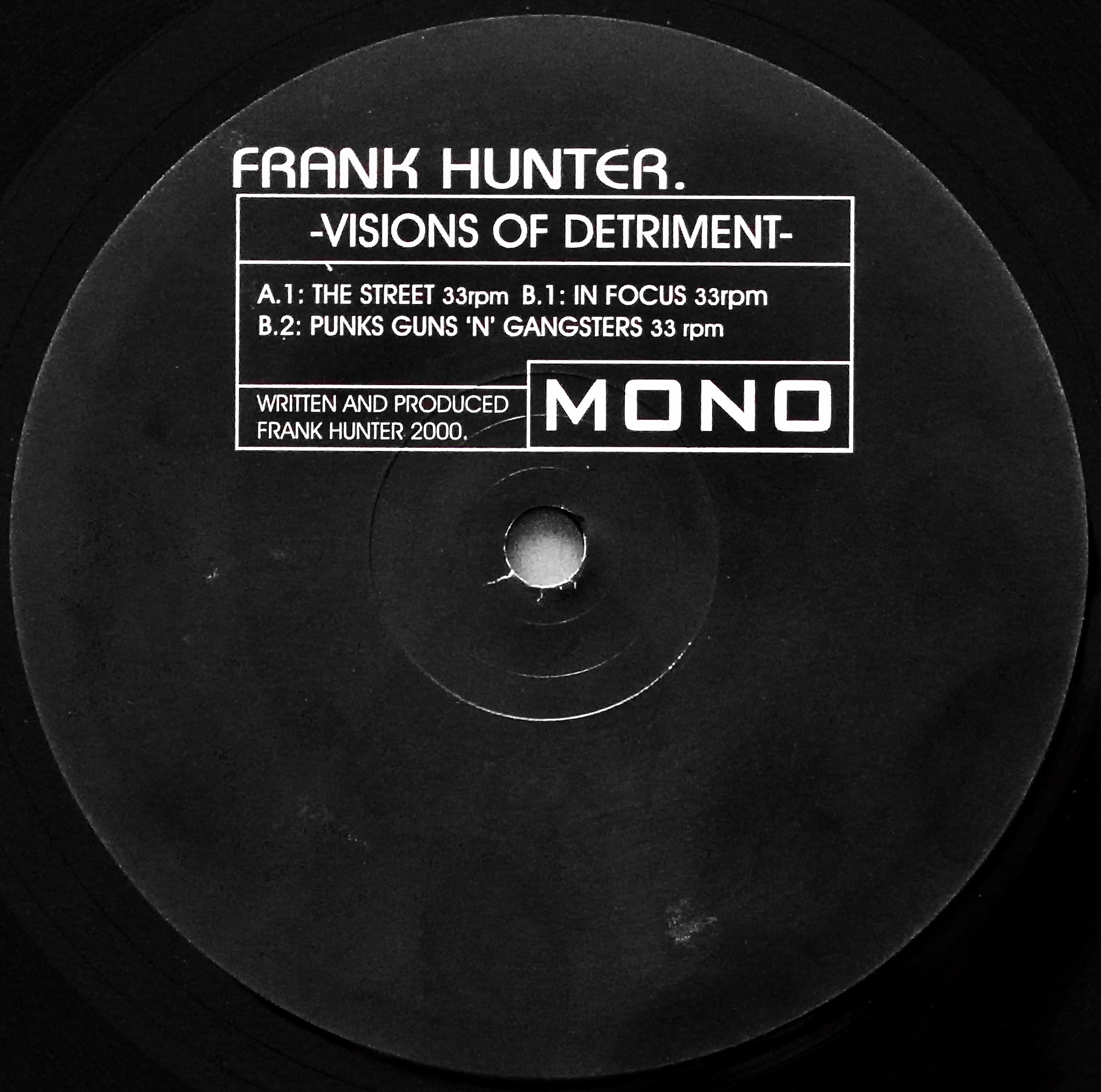 FRANK HUNTER / Visions of Detriment