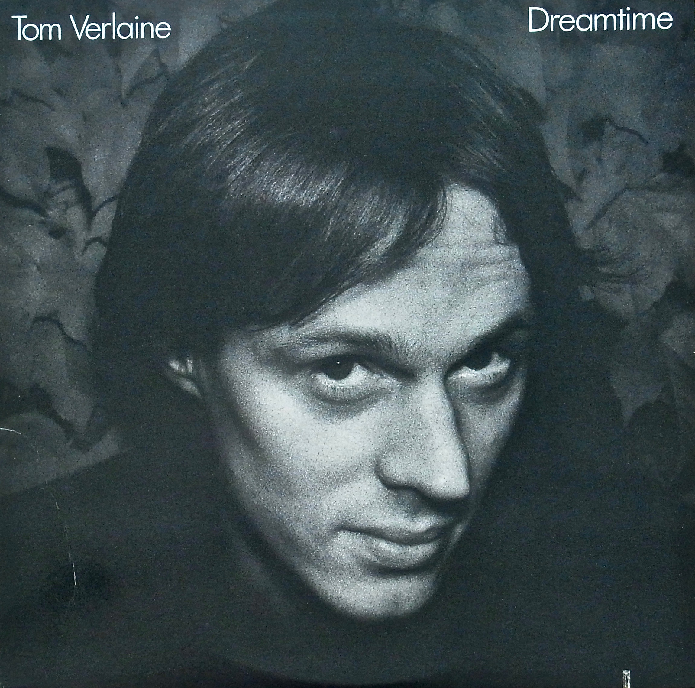 TOM VERLAINE / Dreamtime