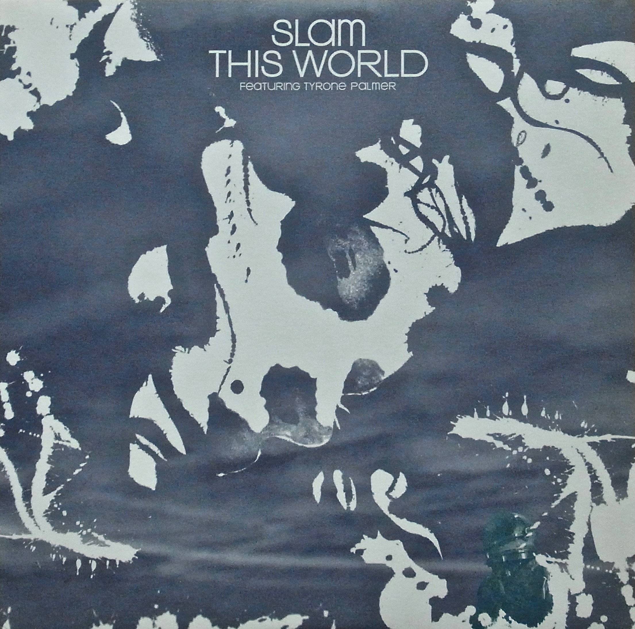 SLAM Featuring TYRONE PALMER / This World