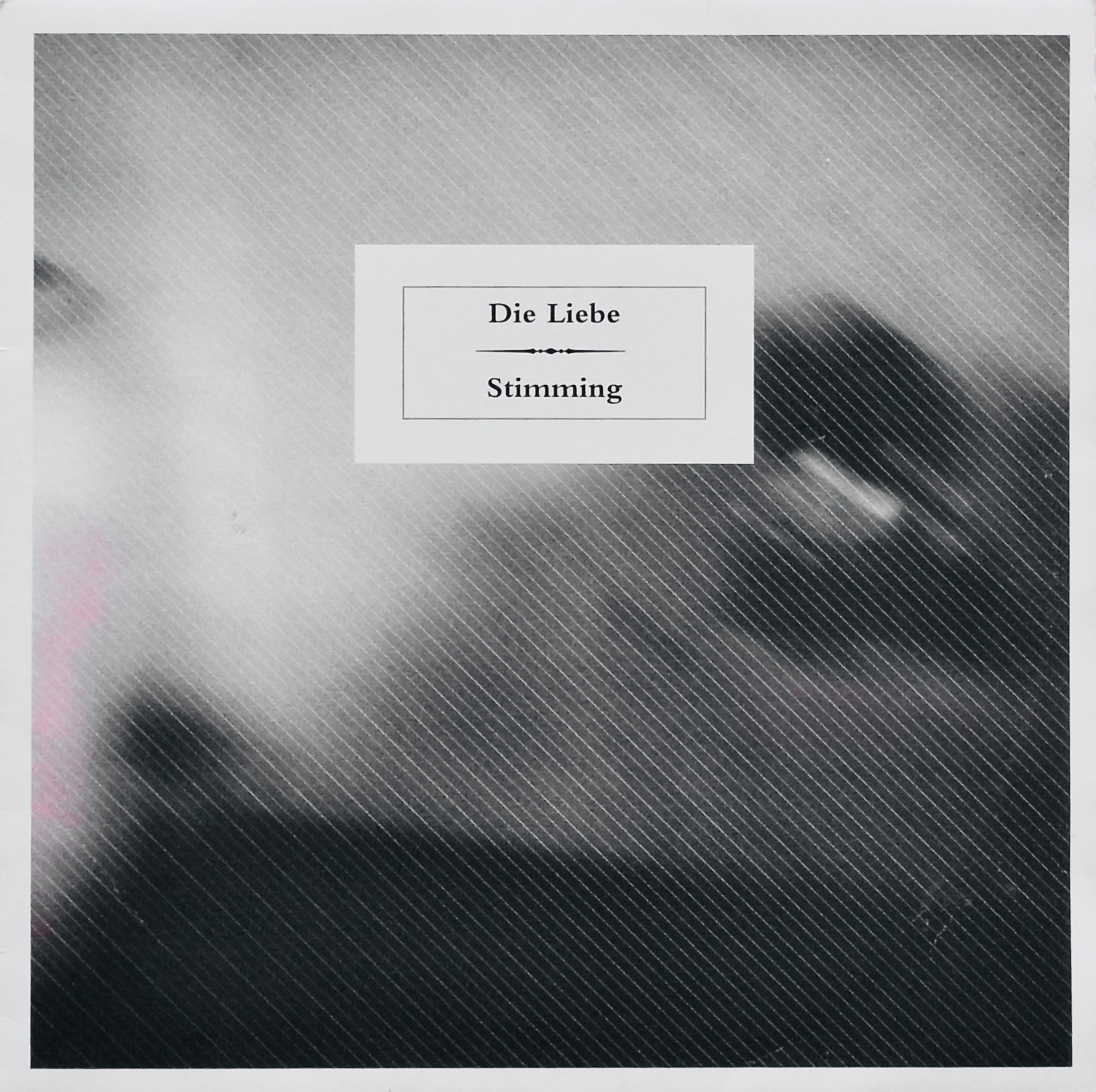 STIMMING / Die Liebe