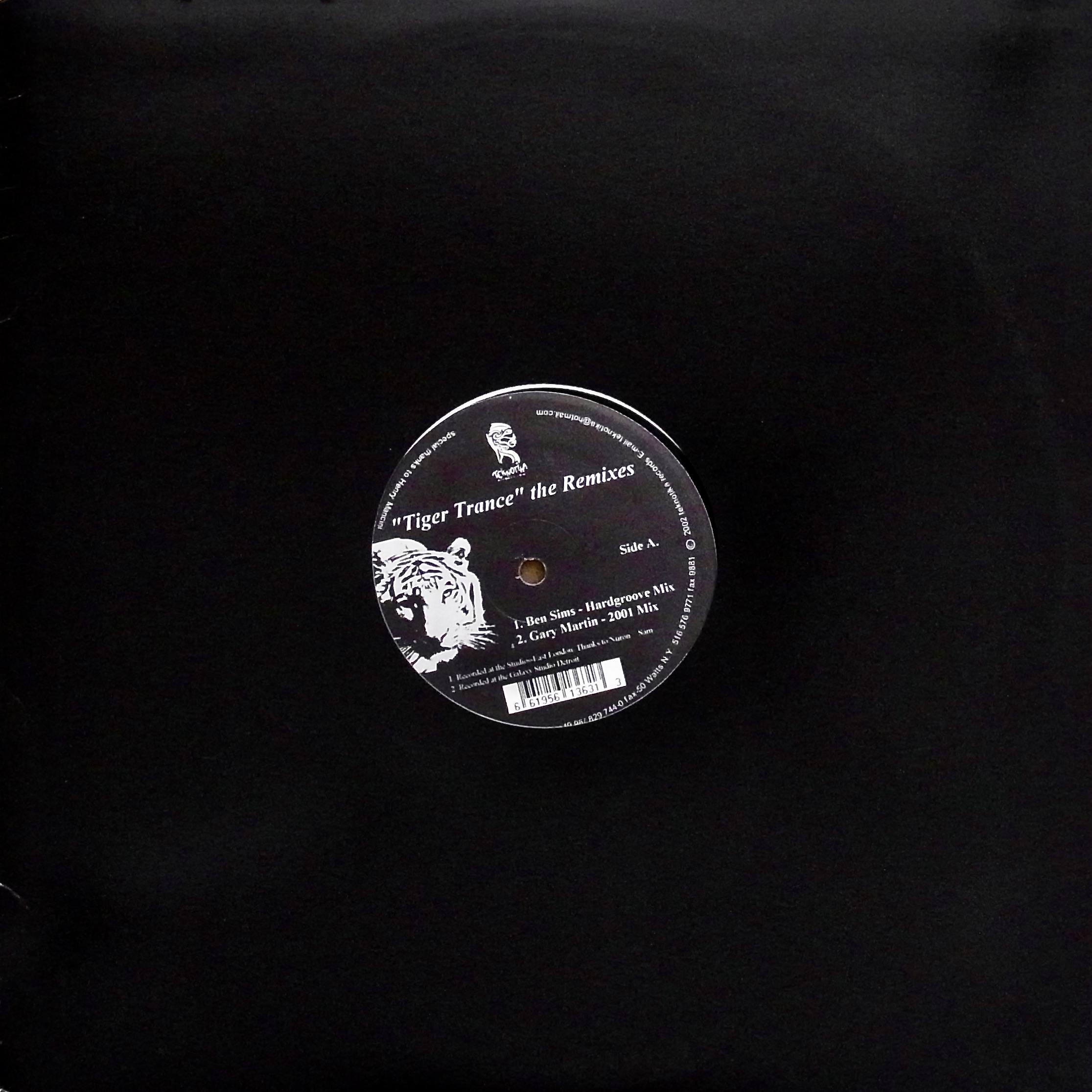 GARY MARTIN / Tiger Trance (The Remixes)