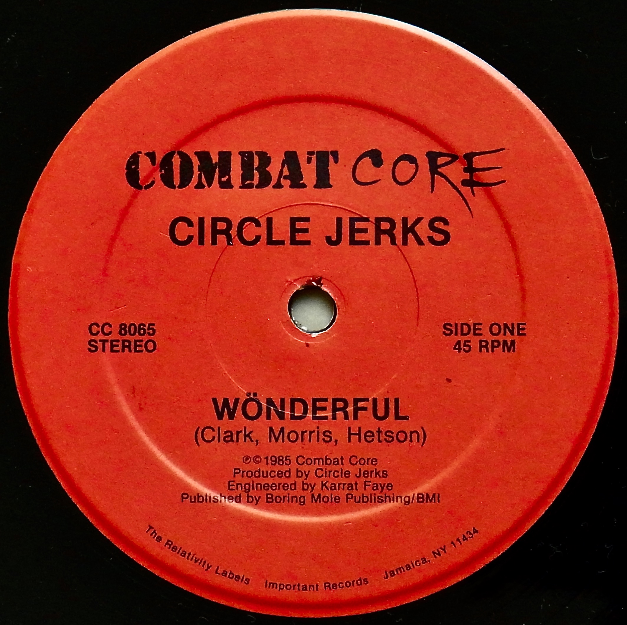 CIRCLE JERKS / Wonderful