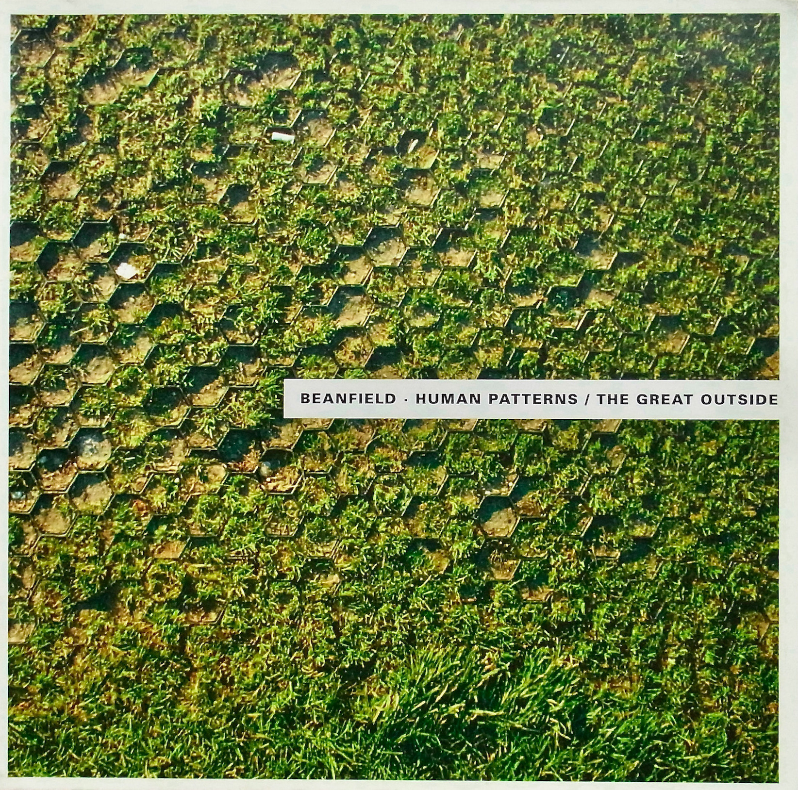 BEANFIELD / Human Patterns・The Great Outside