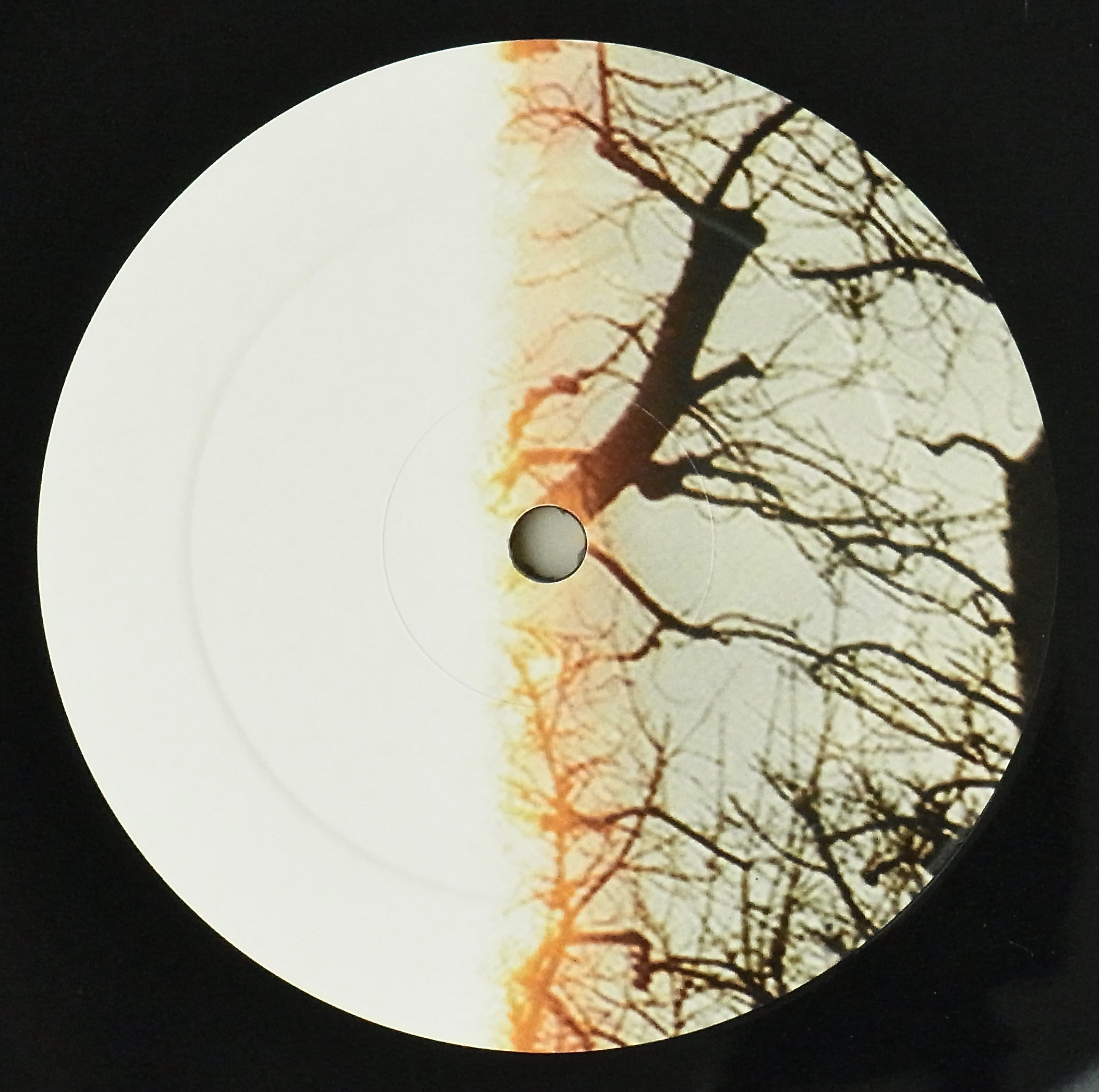 AREA / Innate Obscurity