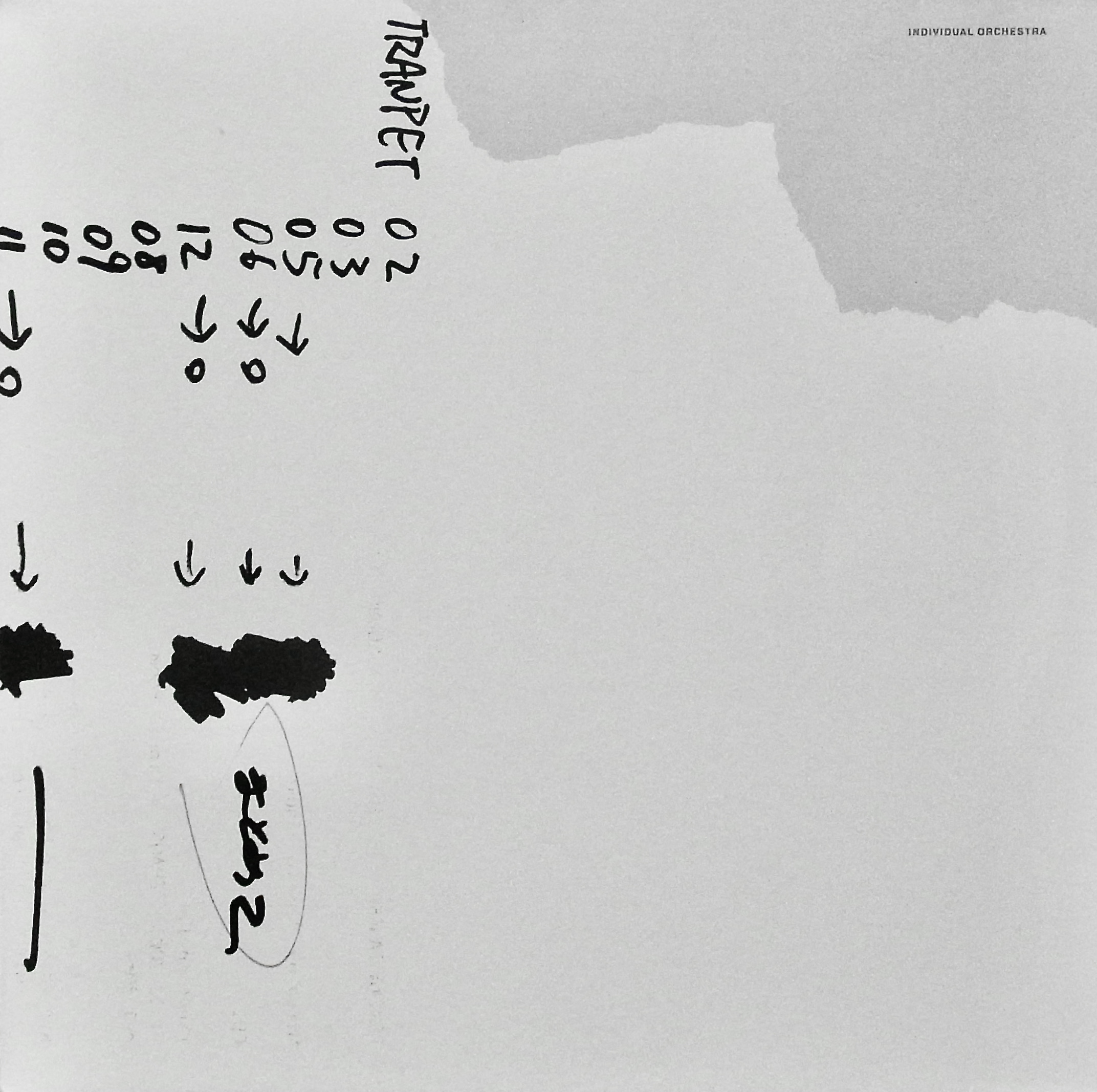 INDIVIDUAL ORCHESTRA / Untitled