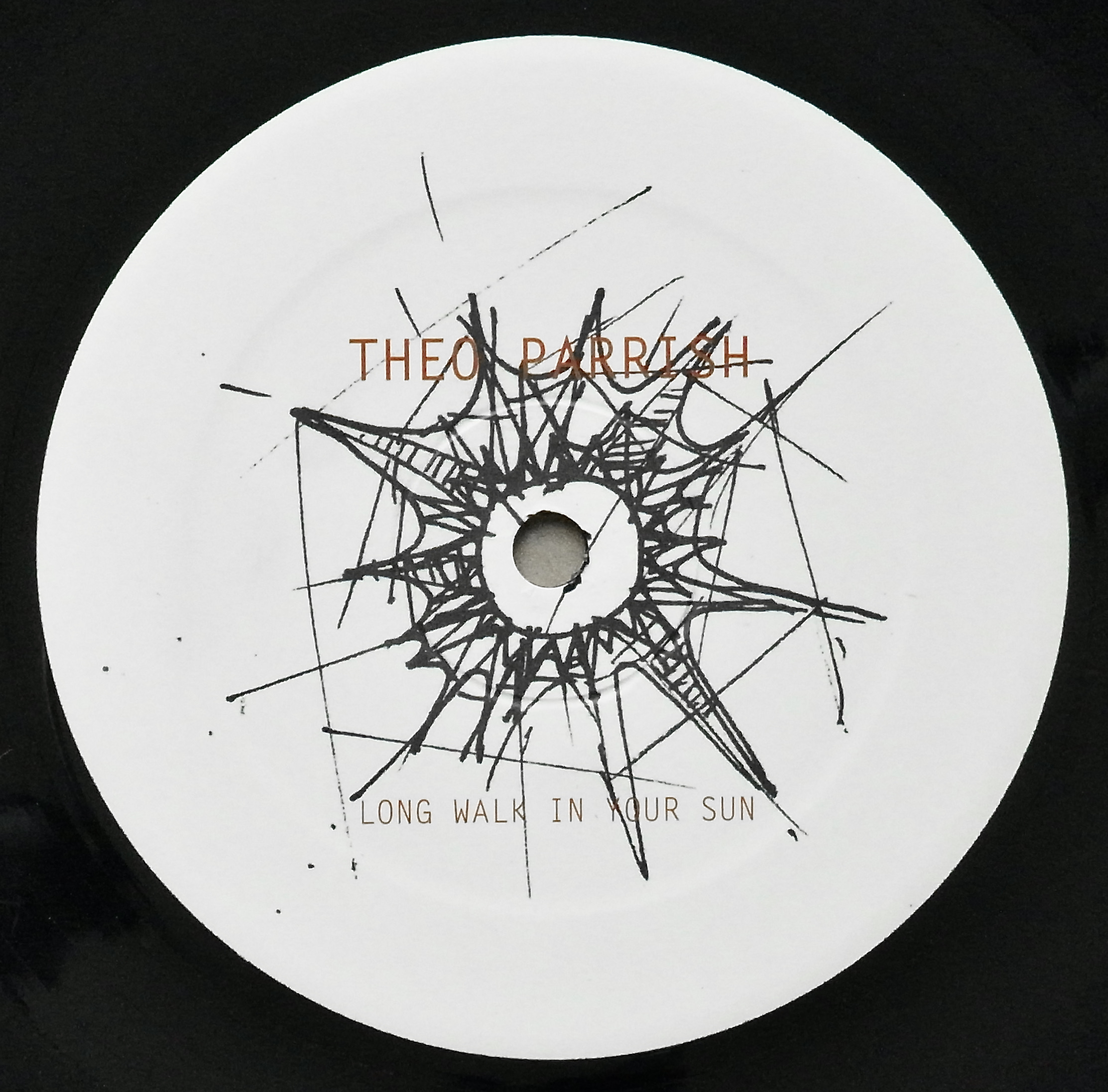 THEO PARRISH / Long Walk In Your Sun